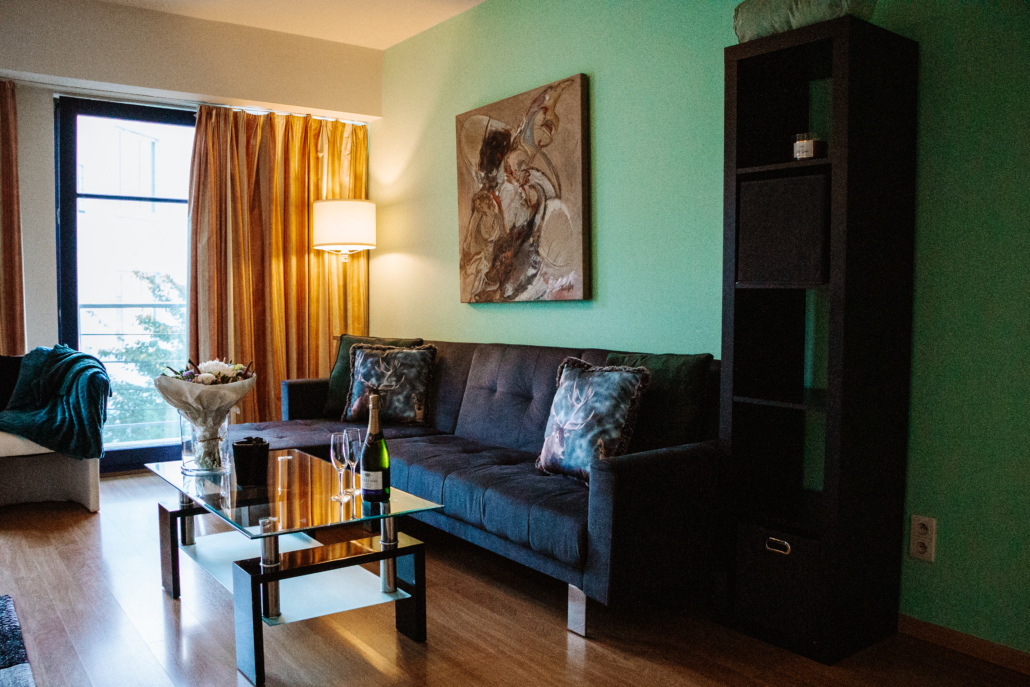 1-Room Apartment